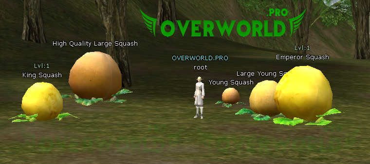 main.png